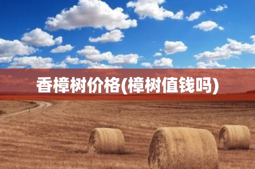 香樟树价格(樟树值钱吗)