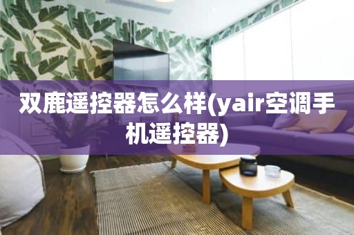 双鹿遥控器怎么样(yair空调手机遥控器)