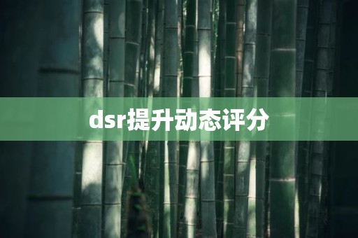 dsr提升动态评分