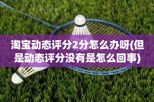 淘宝动态评分2分怎么办呀(但是动态评分没有是怎么回事)