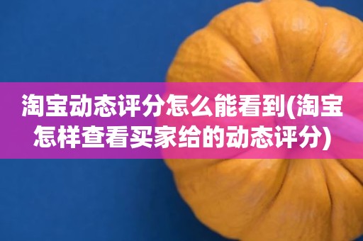 淘宝动态评分怎么能看到(淘宝怎样查看买家给的动态评分)