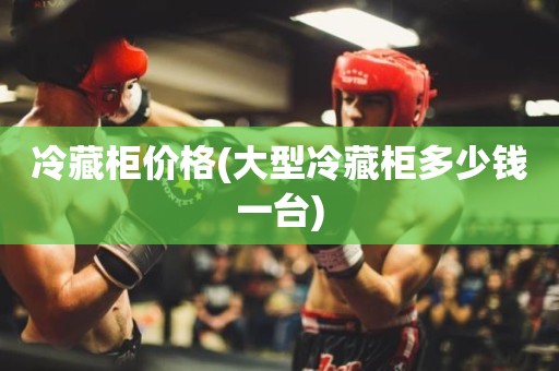 冷藏柜价格(大型冷藏柜多少钱一台)