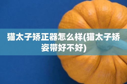 猫太子矫正器怎么样(猫太子矫姿带好不好)