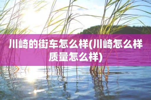 川崎的街车怎么样(川崎怎么样质量怎么样)