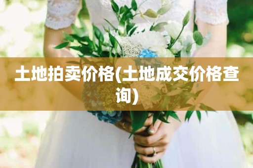 土地拍卖价格(土地成交价格查询)