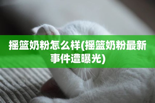 摇篮奶粉怎么样(摇篮奶粉最新事件遭曝光)