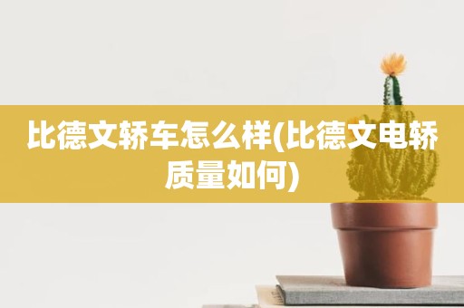 比德文轿车怎么样(比德文电轿质量如何)