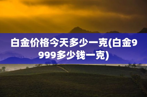 白金价格今天多少一克(白金9999多少钱一克)