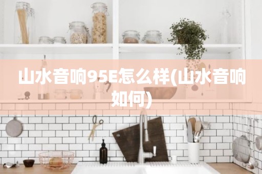 山水音响95E怎么样(山水音响如何)