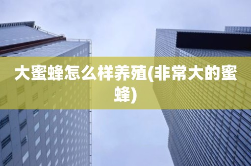 大蜜蜂怎么样养殖(非常大的蜜蜂)