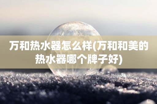 万和热水器怎么样(万和和美的热水器哪个牌子好)