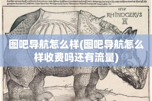 图吧导航怎么样(图吧导航怎么样收费吗还有流量)