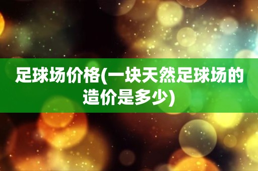 足球场价格(一块天然足球场的造价是多少)