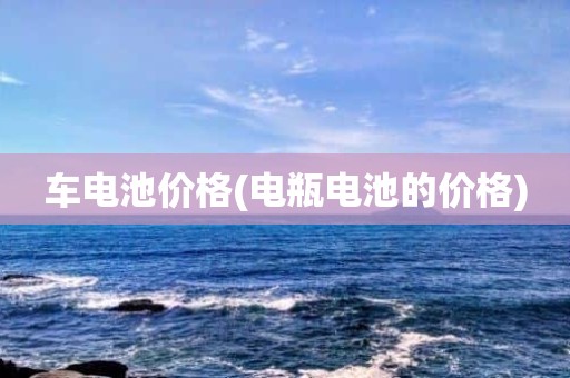 车电池价格(电瓶电池的价格)