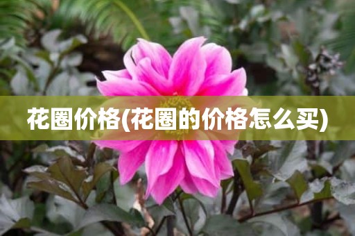 花圈价格(花圈的价格怎么买)