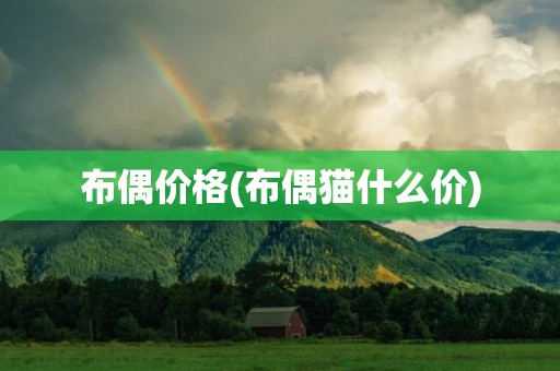 布偶价格(布偶猫什么价)