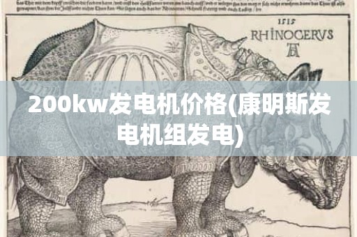 200kw发电机价格(康明斯发电机组发电)