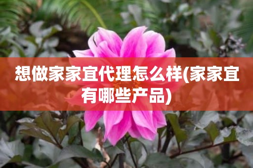 想做家家宜代理怎么样(家家宜有哪些产品)