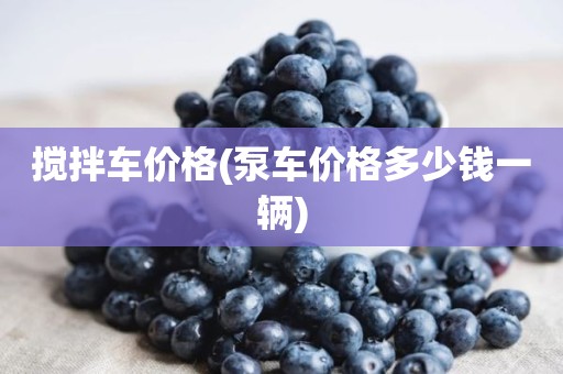 搅拌车价格(泵车价格多少钱一辆)