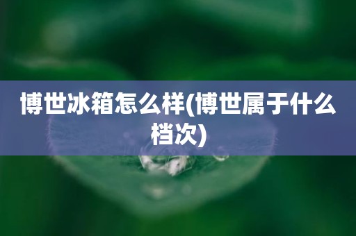 博世冰箱怎么样(博世属于什么档次)