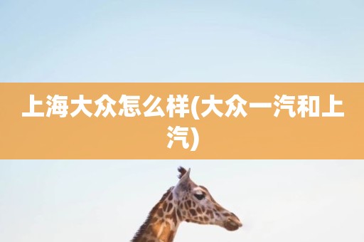 上海大众怎么样(大众一汽和上汽)