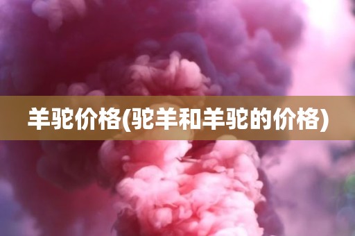 羊驼价格(驼羊和羊驼的价格)