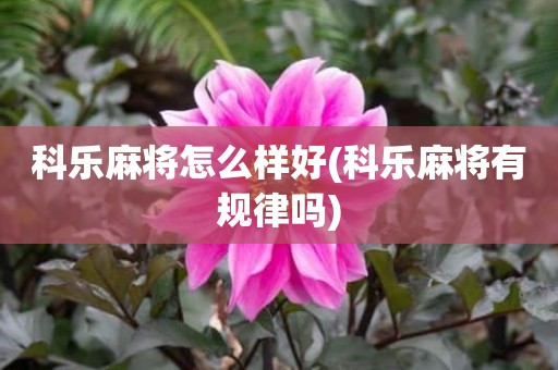 科乐麻将怎么样好(科乐麻将有规律吗)