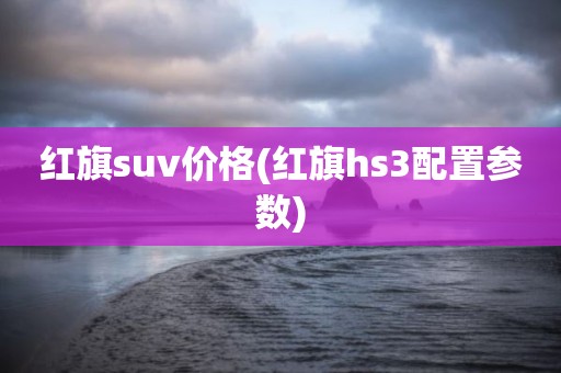 红旗suv价格(红旗hs3配置参数)