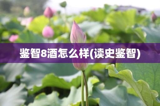 鉴智8酒怎么样(读史鉴智)