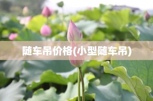 随车吊价格(小型随车吊)
