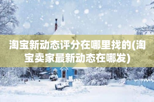 淘宝新动态评分在哪里找的(淘宝卖家最新动态在哪发)