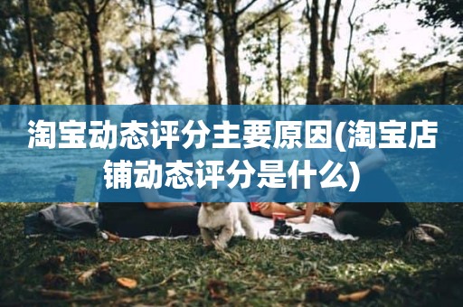 淘宝动态评分主要原因(淘宝店铺动态评分是什么)