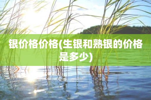 银价格价格(生银和熟银的价格是多少)