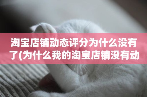 淘宝店铺动态评分为什么没有了(为什么我的淘宝店铺没有动态评分)