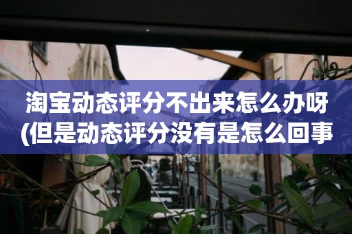 淘宝动态评分不出来怎么办呀(但是动态评分没有是怎么回事)