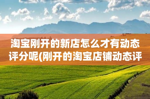 淘宝刚开的新店怎么才有动态评分呢(刚开的淘宝店铺动态评分什么时候开始显示)