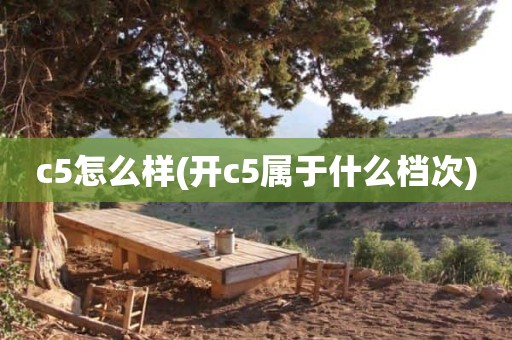 c5怎么样(开c5属于什么档次)