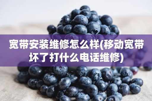 宽带安装维修怎么样(移动宽带坏了打什么电话维修)