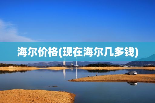 海尔价格(现在海尔几多钱)