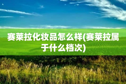 赛莱拉化妆品怎么样(赛莱拉属于什么档次)