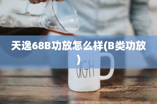天逸68B功放怎么样(B类功放)