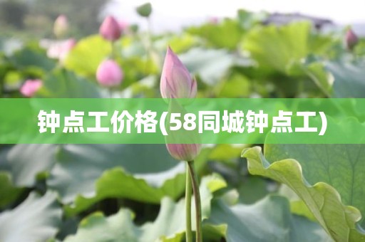 钟点工价格(58同城钟点工)