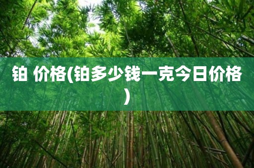 铂 价格(铂多少钱一克今日价格)