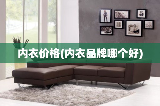 内衣价格(内衣品牌哪个好)