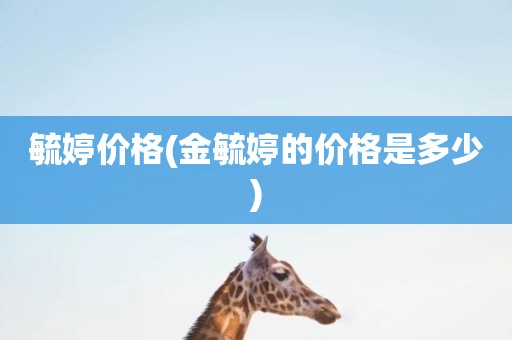 毓婷价格(金毓婷的价格是多少)