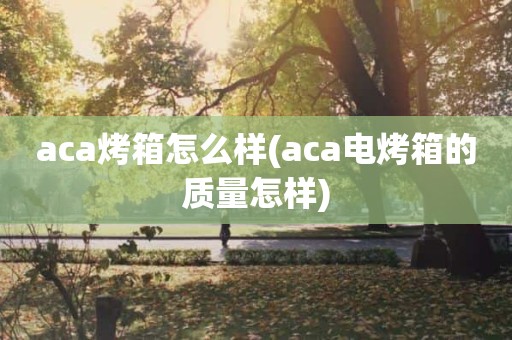 aca烤箱怎么样(aca电烤箱的质量怎样)