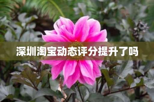 深圳淘宝动态评分提升了吗