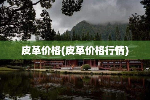 皮革价格(皮革价格行情)