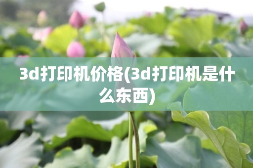 3d打印机价格(3d打印机是什么东西)