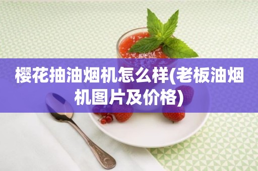 樱花抽油烟机怎么样(老板油烟机图片及价格)